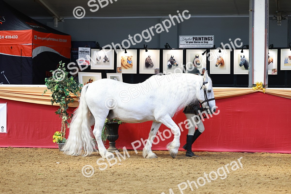 SBM_02232