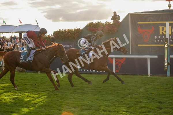 230923-Race 7-Two Brothers-5499 - Race 7 5.30pm Neil Atkinson's 60th Birthday Celebration Handicap