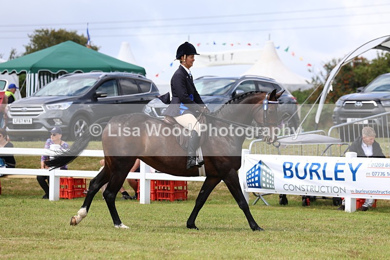 3E7A0503 - Rising Star Ridden Championship