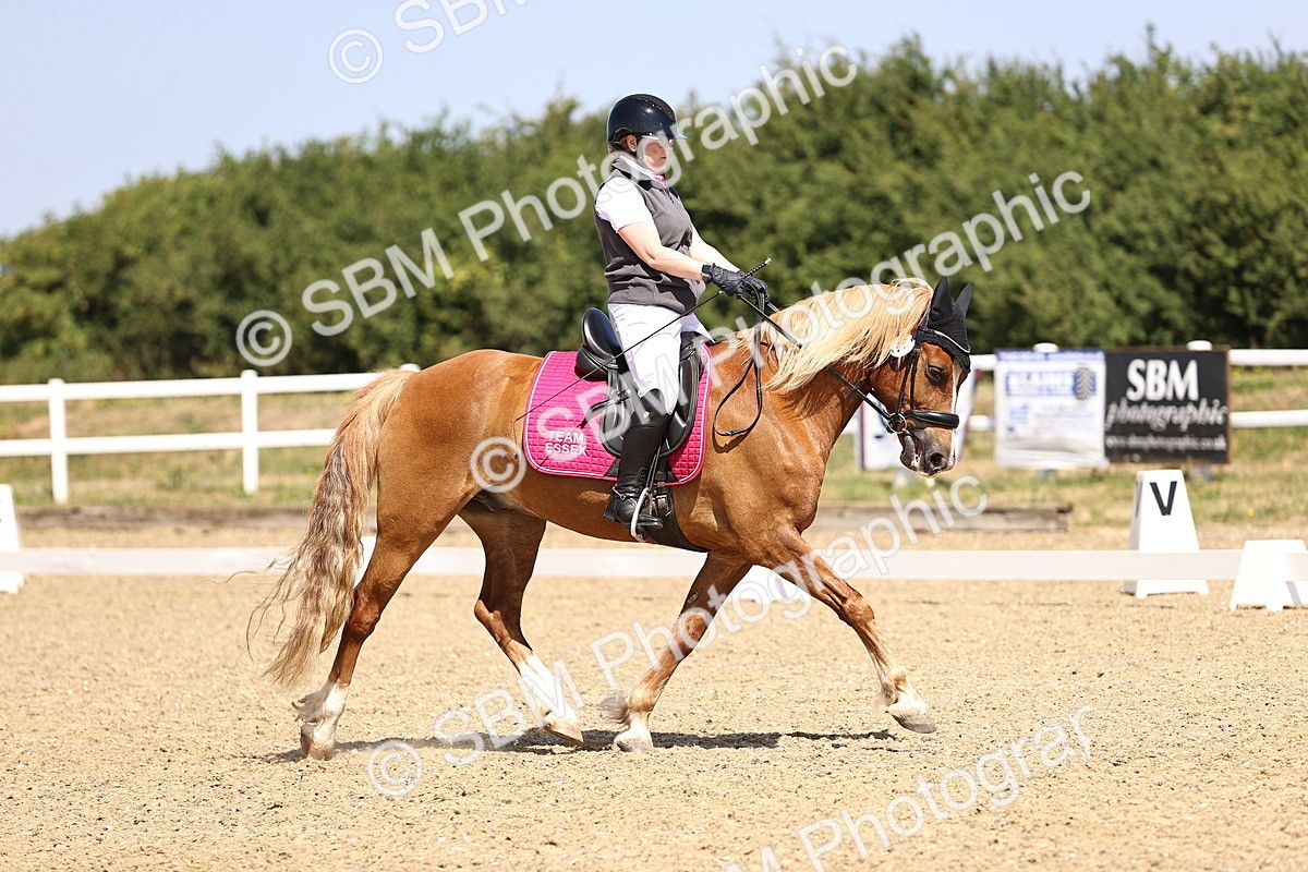 SBM_010403 - Novice 5 - 11.20-12.23