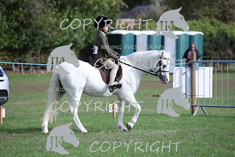 APP_4100 - Class 15a/b Pony club pony/Riding club horse