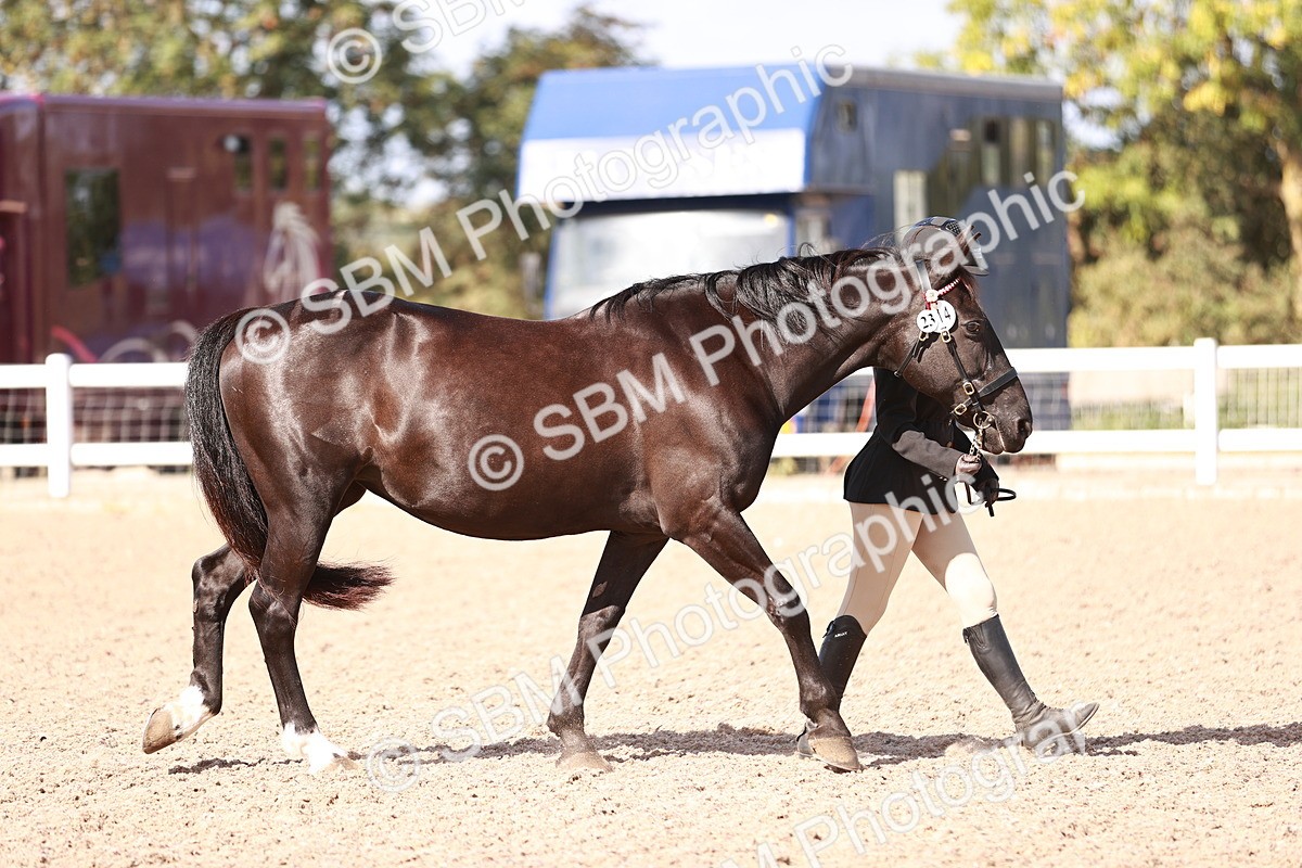 SBM_22867 - Class 706 - IH Veteran