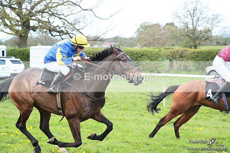 PtP 180426 126 - Worcestershire Hunt PtP Chaddesley Corbett 18/04/26