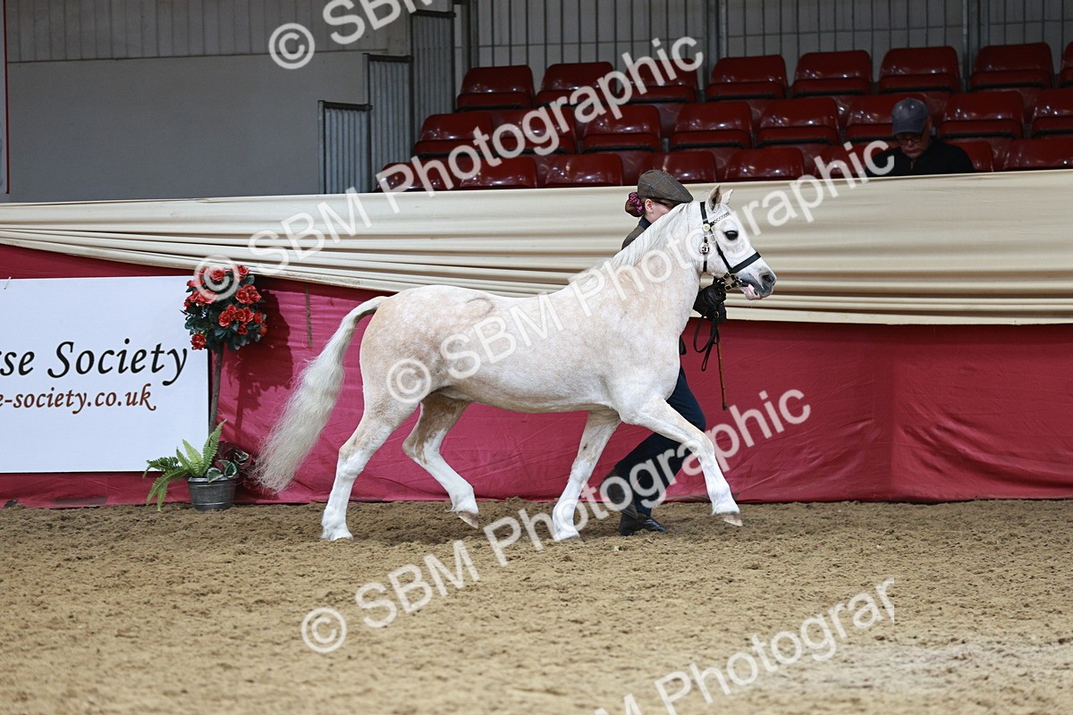 SBM_04674 - Class 7R - Regional IH Diamond