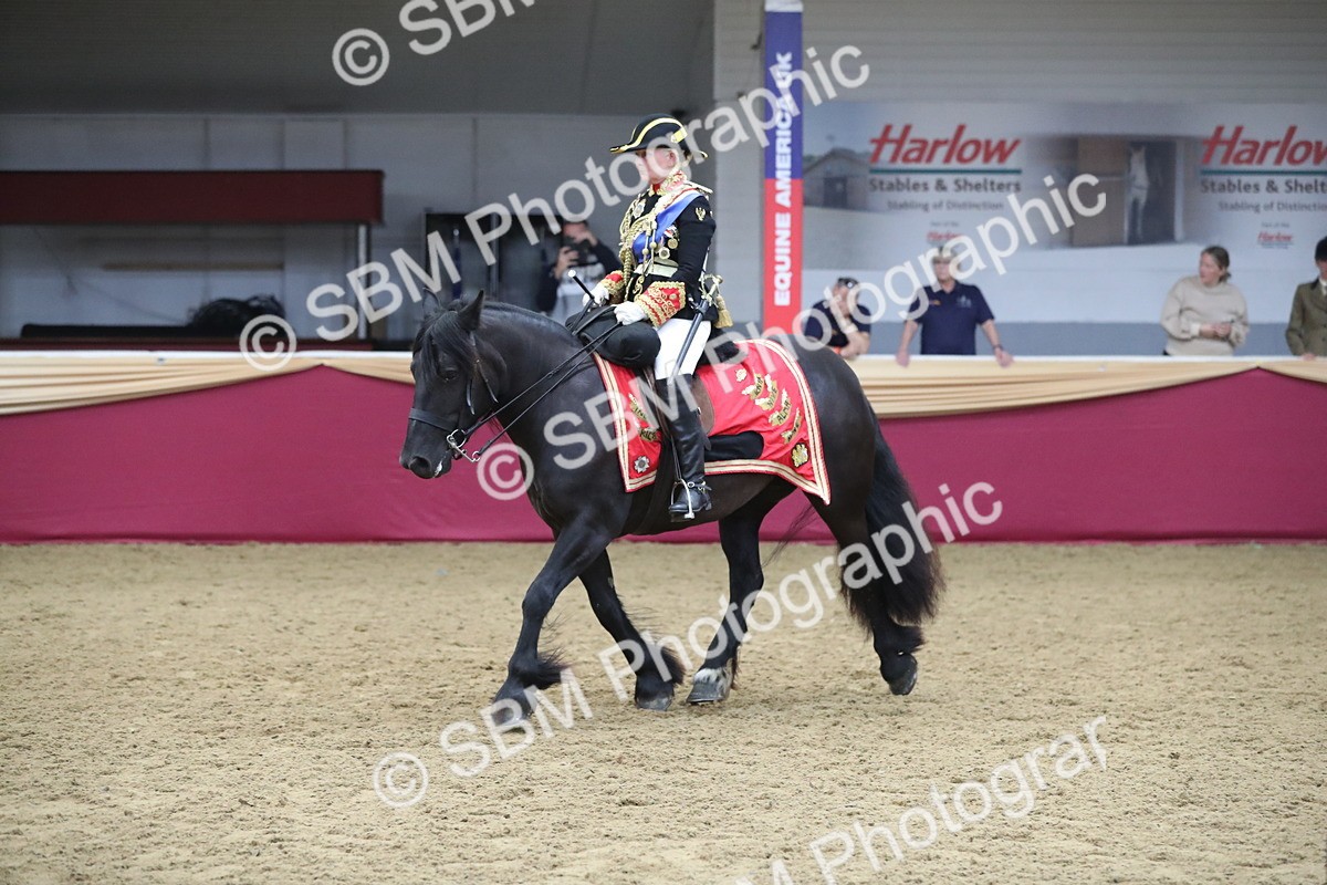 SBM_12040 - Class 106 Ridden Costume- Astride Adult (15-19)