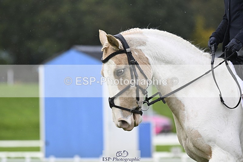 251023A-133927-04123 - D-324-Clare.Pascoe