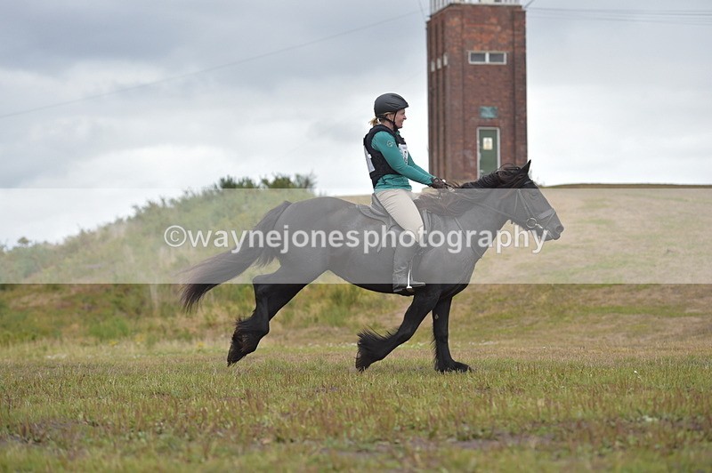 NGP_2775 - XC Time 11:37 to 11:57