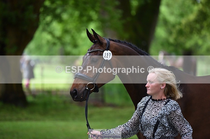 240522-165354-01236 - 227-FIREBALL_III-Oda_Christine_Lippestad