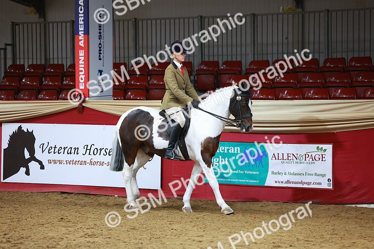 SBM_09340 - Class 102 - HOYS Veteran Qualifier - Ridden Veteran