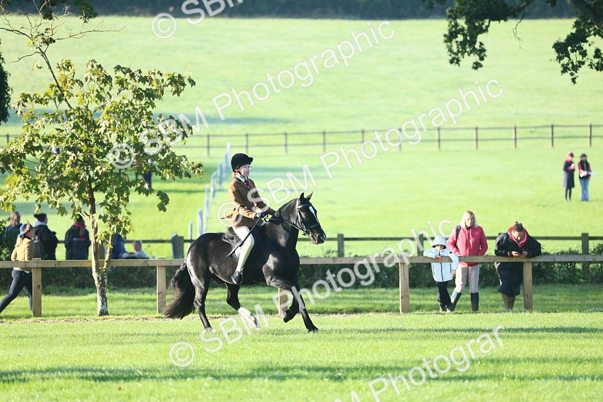 SBM_37341 - S29 - Novice & Newcomers Working Hunter Pony