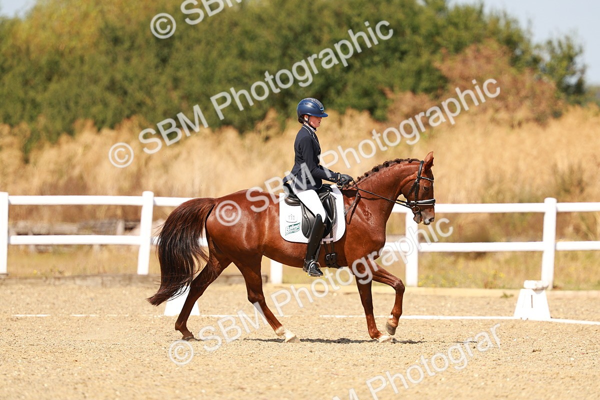 SBM_018316 - Class 9 - N5 Bronze 11.57.13.07