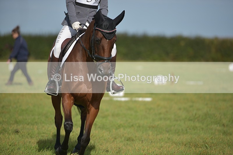 RAY_7578 - Class 2B: Trekenning Open: Dressage