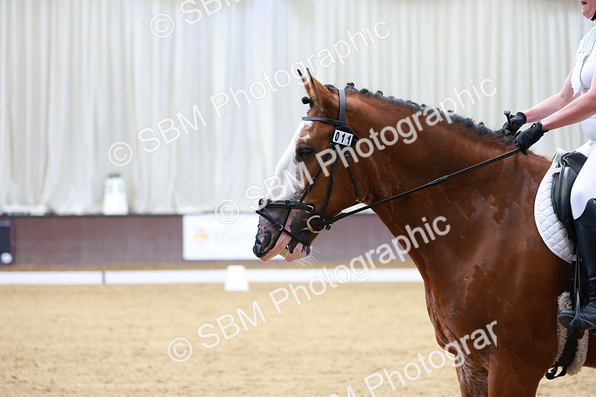 SBM_000177 - Intro Test 2