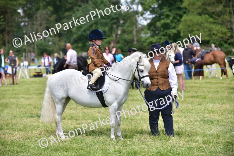 20260614-1212 - Class 11a - Lead Rein Pony (Unplaited)