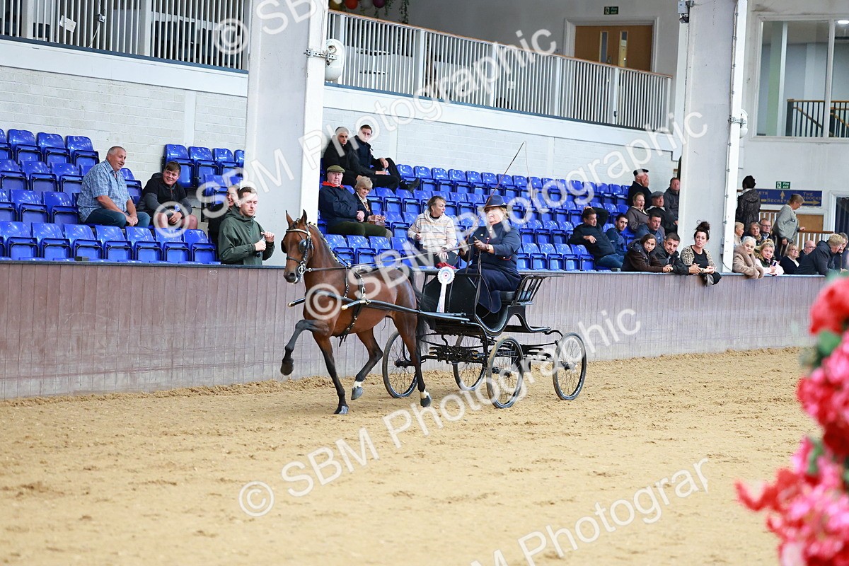 SBM_000686 - Class 9 - HHS Championship Intl Hackney Pony to a Showwagon