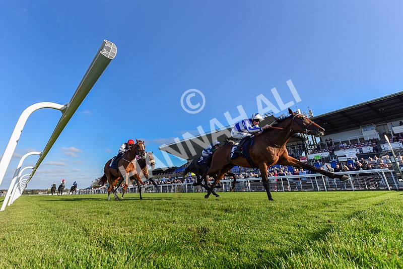 180924-Race 7-Fox Avatar-7598 - Race 7