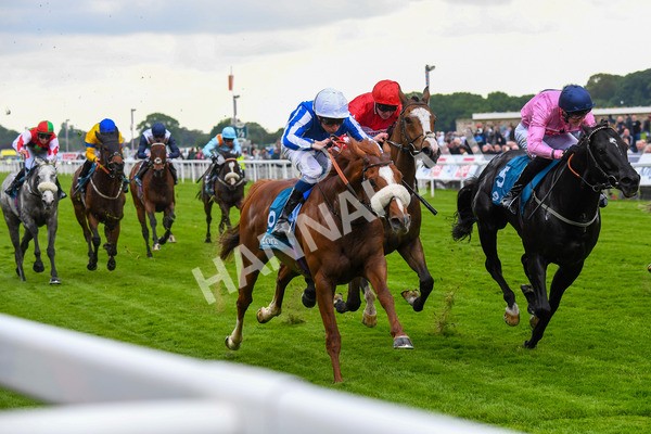 190523-Race 3-Marhaba The Champ-0480 - Race 3 3.00pm Knights Solicitors Handicap