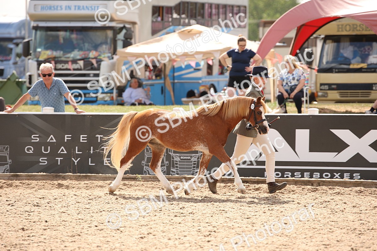 SBM_04560 - Class 20 IH Veteran