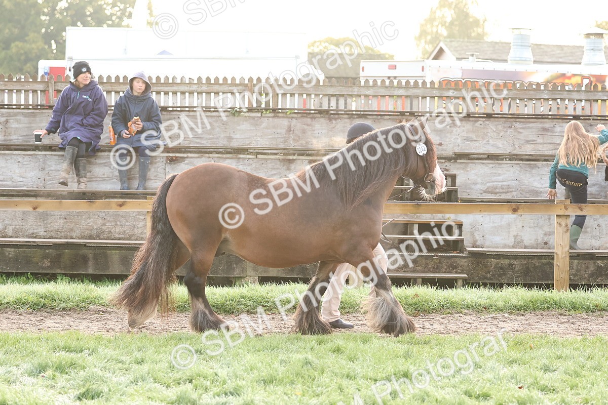 SBM_54483 - S38 - Starters Best Turnout