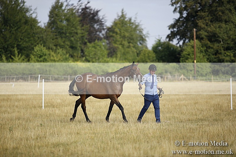 _C7A9112 - BVRC Sow 2018 Ring 2