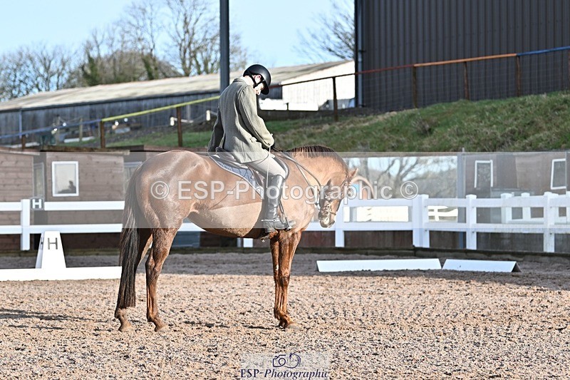 250125-102623-00182 - Dressage - CT Class 4 BE95 (80cm)