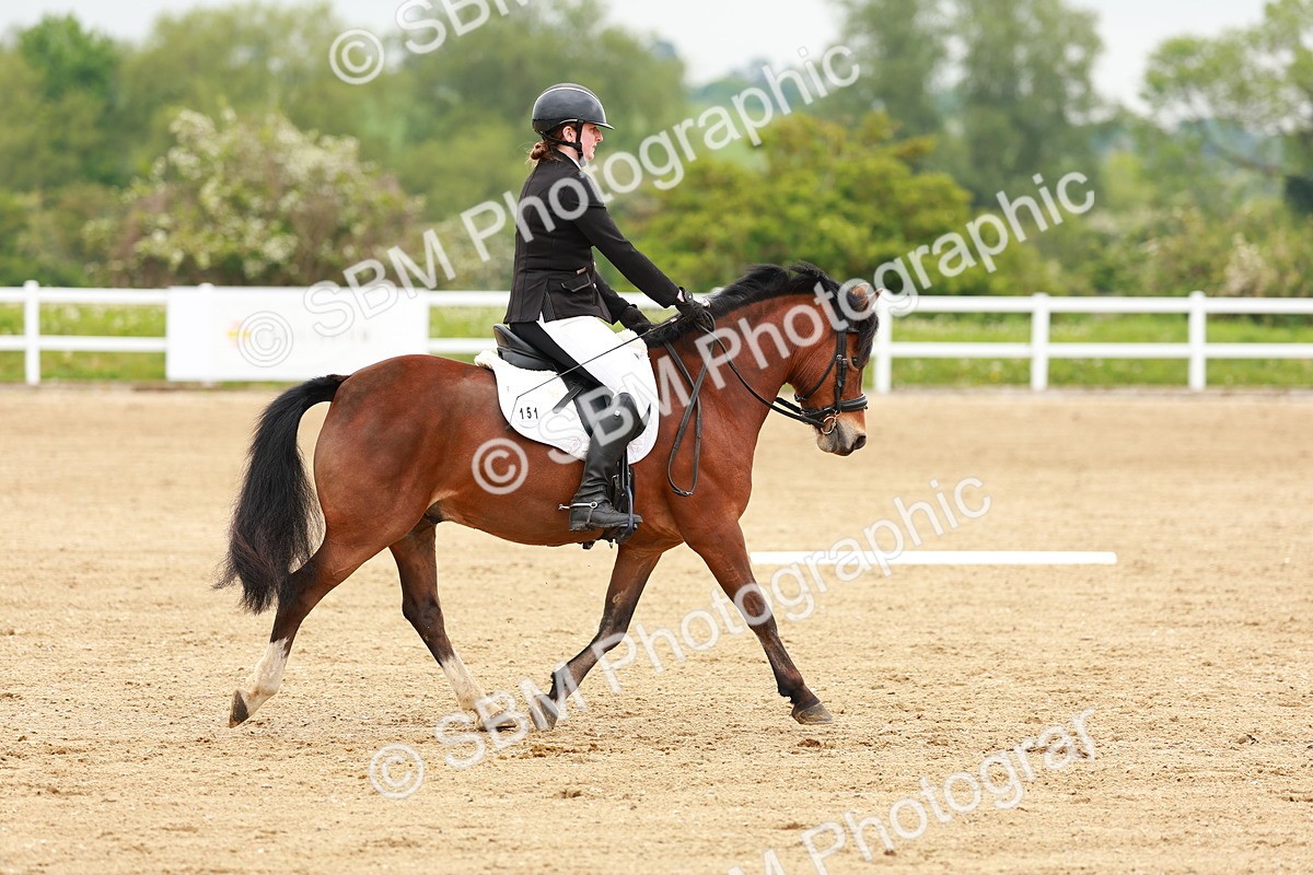SBM_005247 - Class 16 - Novice 6