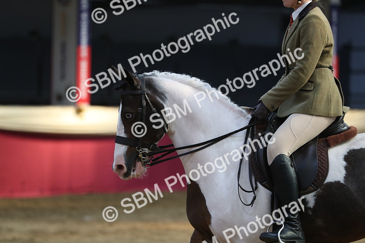 SBM_08335 - Class 11R Regional Ridden Veteran