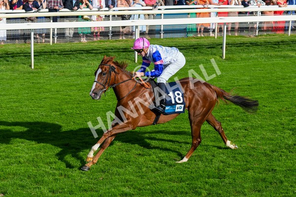 240823-Race 7-Nigiri-0881 - Race 7 5.20pm British EBF 40th Anniversary Fillies' Handicap