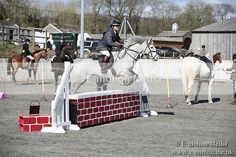 BVRC SJ 170319 313 - Bourne Valley Riding Club Showjumping 17/03/19