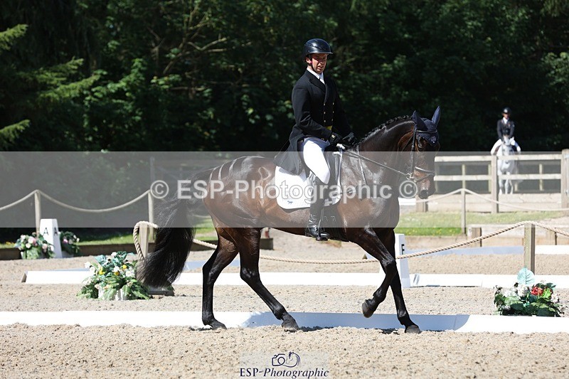 230526-103430-05285 - 362-SPIRIT'S_GEMINI-Harry_Dzenis-WEDTrotUp+DR