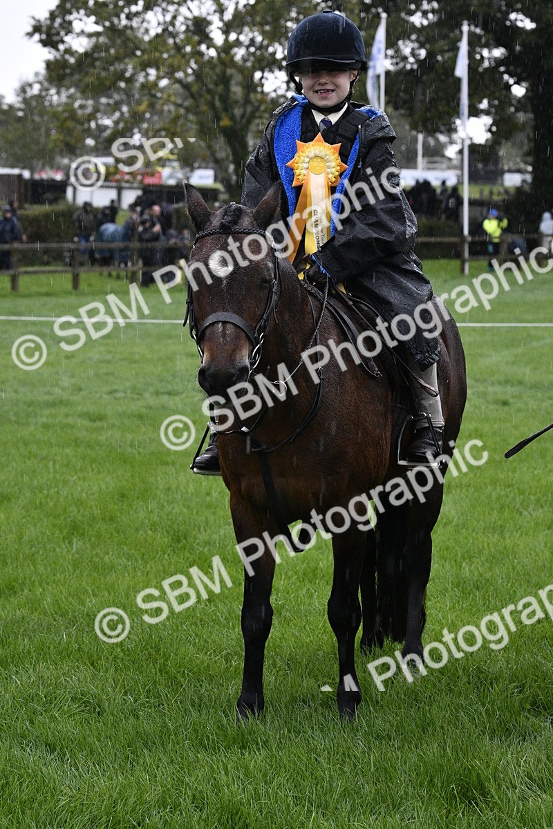 SBM_35583 - S30 - Nursery Stakes Working Hunter Pony
