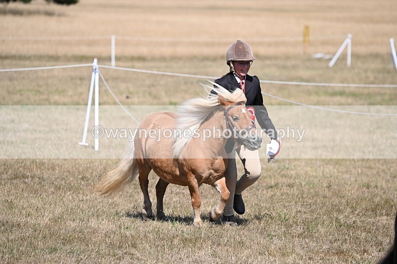 WJ6_9297 - Championship Classes 33-38