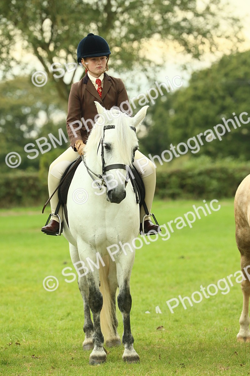 SBM_72204 - S60 - Mountain & Moorland Ridden Large Breeds