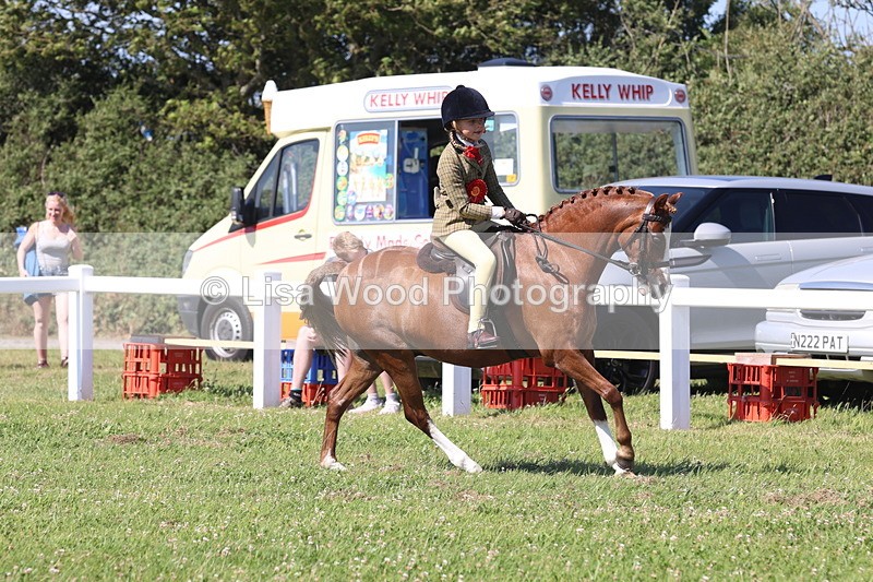 JPP_2056 - Cornish Combination Championship