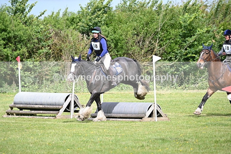 WJ6_2741 - Class 3 60cm Pairs