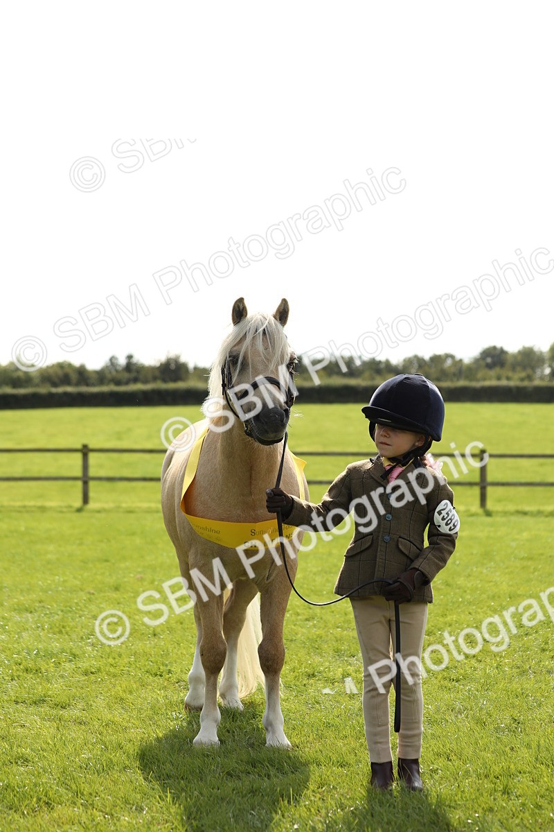 SBM_66325 - In Hand Pony & Youngstock Supreme Championship