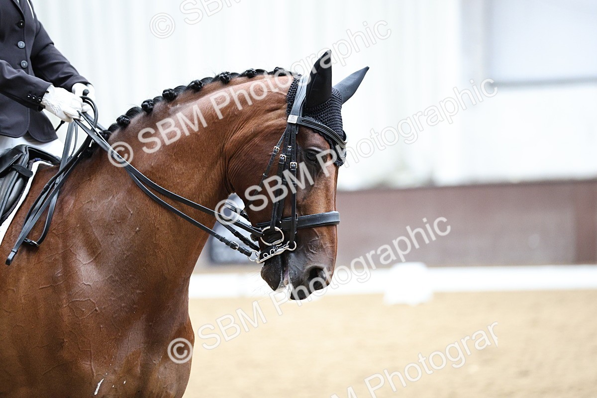 SBM_001693 - Class 7 - Elementary 5