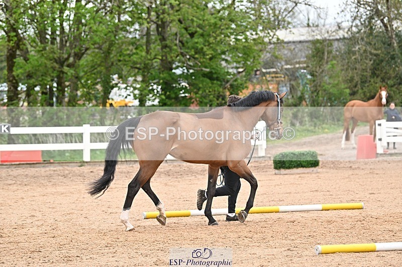 250423-155248-01831 - 3pm to 4pm