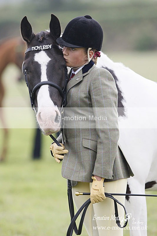 Eq -20 - Equestrian