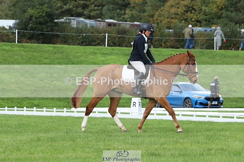 251023A-104819-03226 - D-310-Emily.R.Vincent