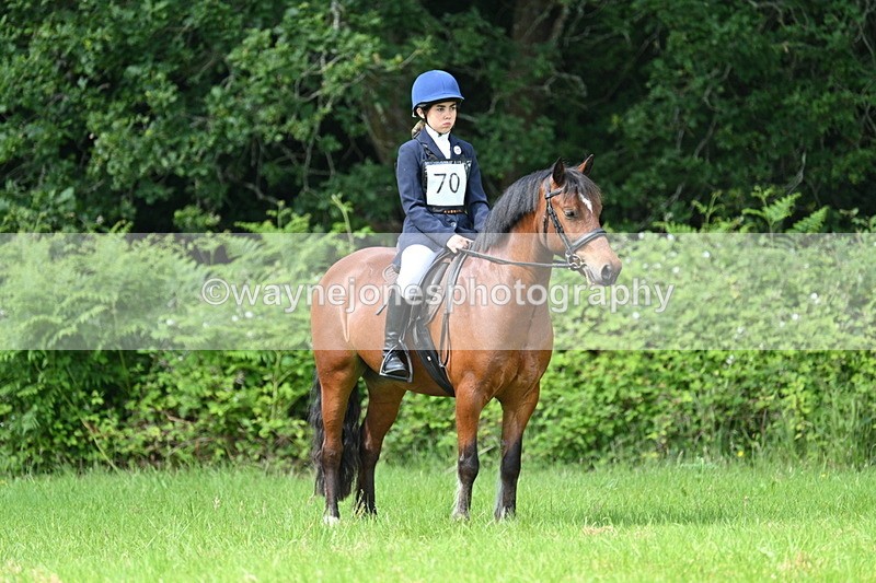 WJ7_1143 - Class 11 Condition & Turnout