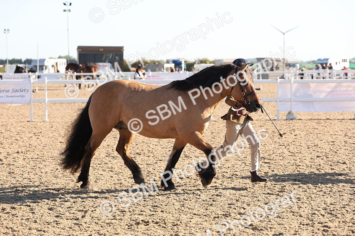 SBM_10817 - Class 201 - Best Turned Out - IH