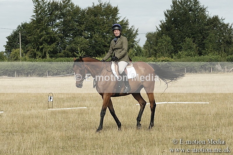 _PJP5639 - Dressage Classes BVRC Show 2018