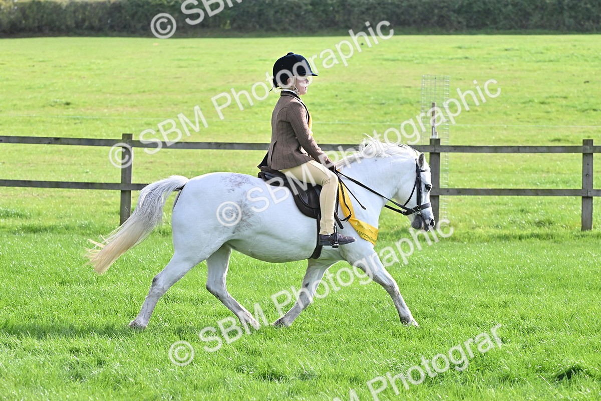 SBM_48450 - S21 - Novice & Newcomers First Ridden