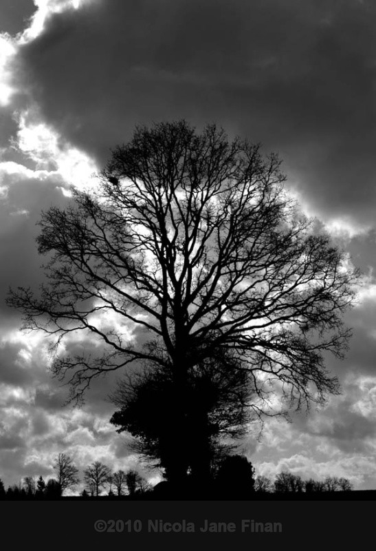 171jpg - Landscapes
