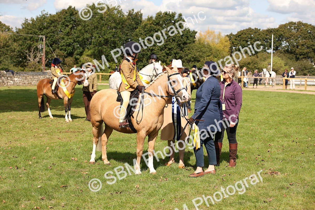 SBM_40924 - Fun Showing Supreme Championship