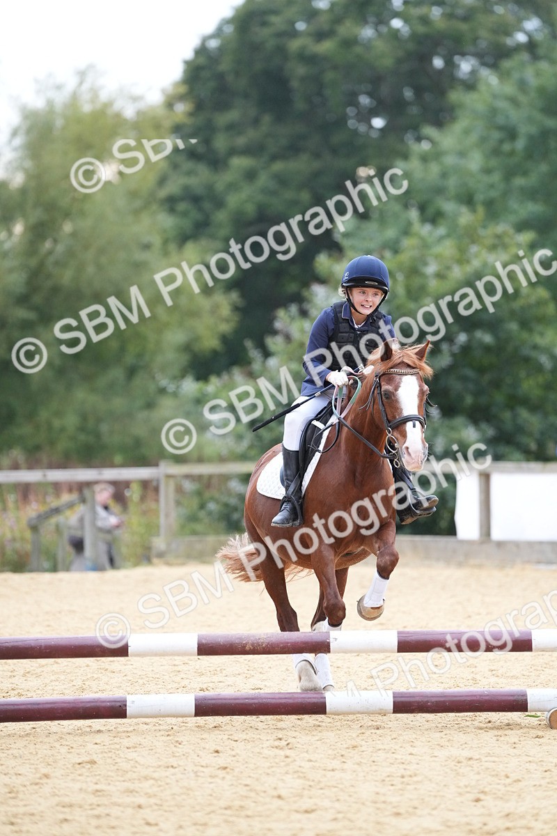 SBM_74576 - J4 - Mini Tour Junior Pony 45cm Championship