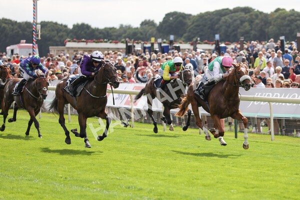 yr17082022r2-22 - Race 2 2.25pm Tattersalls Acomb Stakes