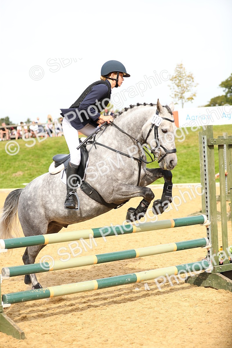 SBM_67219 - J17 - Junior Pony 80cm Championship