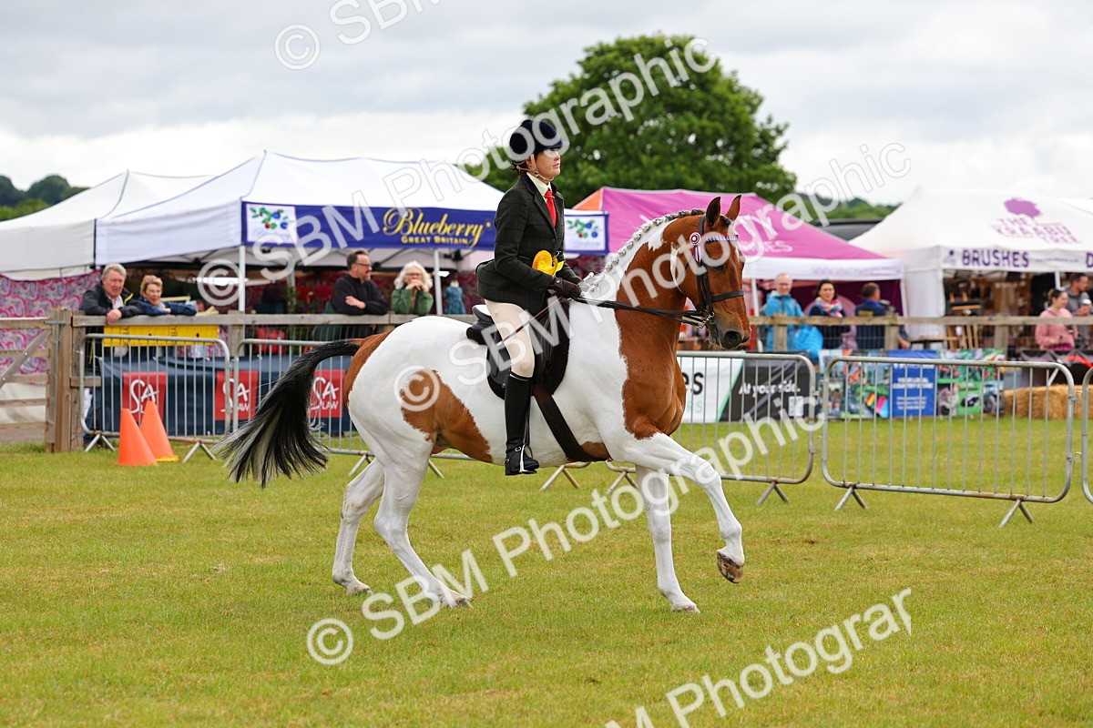 SBM_02569 - Class 9-11 Side Saddle including LIHS Rising Star Ladies Show Horse